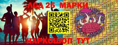 метадон Гай